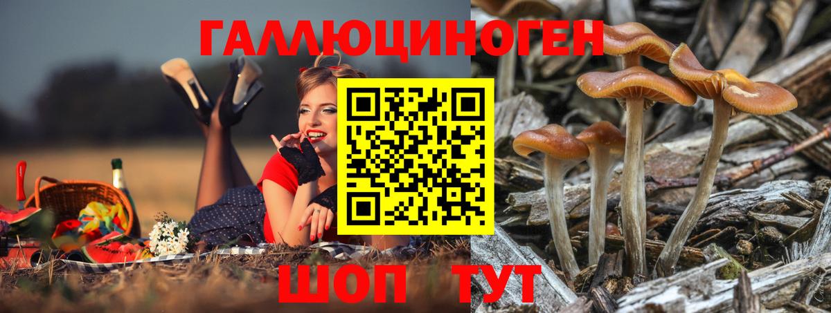 Галлюциногенные грибы ЛСД Жуковский